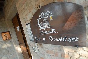 B&B Molenda