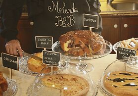 B&B Molenda