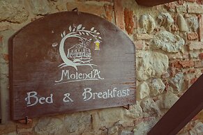 B&B Molenda