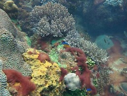 Greenseaviewresort Bangsaphan