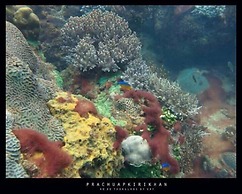 Greenseaviewresort Bangsaphan