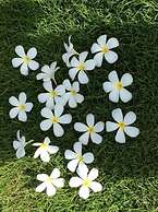 Greenseaviewresort Bangsaphan