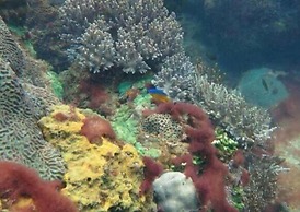 Greenseaviewresort Bangsaphan