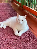 Hostal Estrella de Agua - Hostel