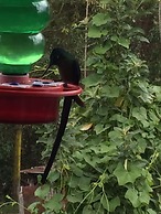 Hostal Estrella de Agua - Hostel