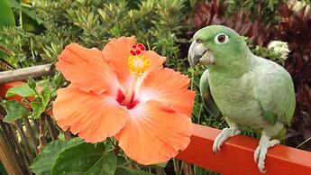 Hostal Estrella de Agua - Hostel