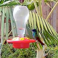 Hostal Estrella de Agua - Hostel