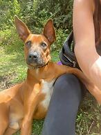 Hostal Estrella de Agua - Hostel