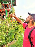 Hostal Estrella de Agua - Hostel