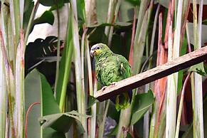 Hostal Estrella de Agua - Hostel