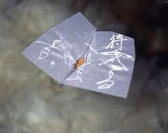 Yukeikohan Suitenkaku