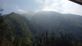 Losmen Setia Kawan II