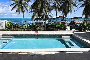 The Palapa House