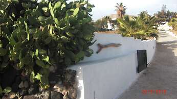 Kokos Traditional Houses