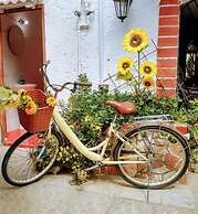 Solsticio Guajiro Hostel