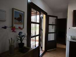 Caballo de Mar Frison