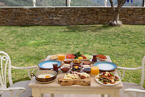 Vinifera Ephesus Hotel