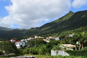 Mountain View Apartment