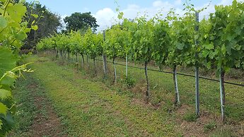 Azienda Agricola Sinisi