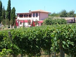 Azienda Agricola Sinisi