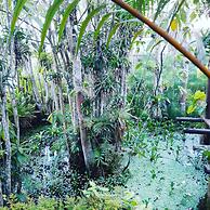 Casa Jardim Bangalôs