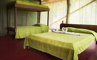 Isla Violin Eco Lodge