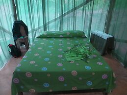 Isla Violin Eco Lodge