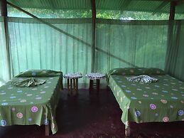 Isla Violin Eco Lodge