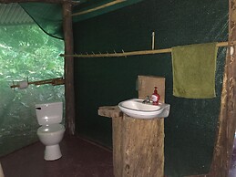 Isla Violin Eco Lodge