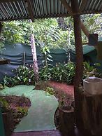 Isla Violin Eco Lodge