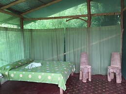 Isla Violin Eco Lodge