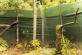 Isla Violin Eco Lodge