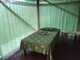 Isla Violin Eco Lodge