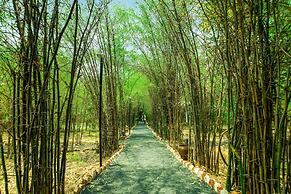 Lemon Tree Wildlife Resort, Bandhavgarh
