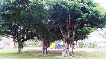 Secret House Makishi