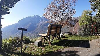 B&B Castello