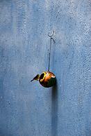 Caribbean Flower Apartments