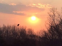 Sunset Manor Guest House