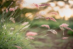 The Hilton Bush Lodge