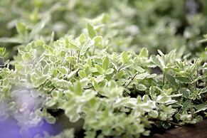 Takamiya Hotel Jurin