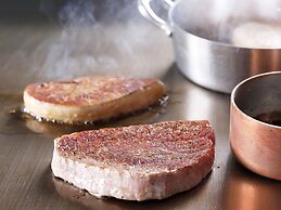 Hakone Kowakien TEN-YU