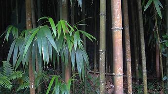 Fenchihu Street Hotel