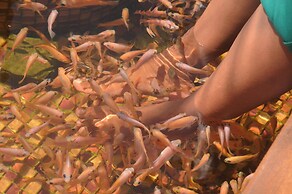 White Villa Resort Aungalla