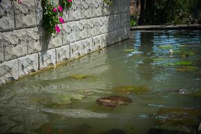 Sungreen Resort