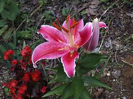 Hotel Silk in Madarao