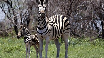 Finfoot Lake Reserve by Dream Resorts