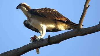 Finfoot Lake Reserve by Dream Resorts