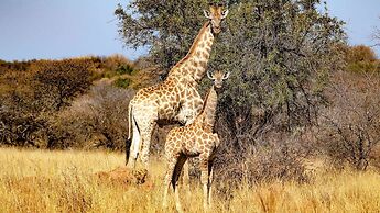 Finfoot Lake Reserve by Dream Resorts