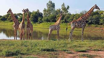 Finfoot Lake Reserve by Dream Resorts