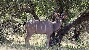 Finfoot Lake Reserve by Dream Resorts